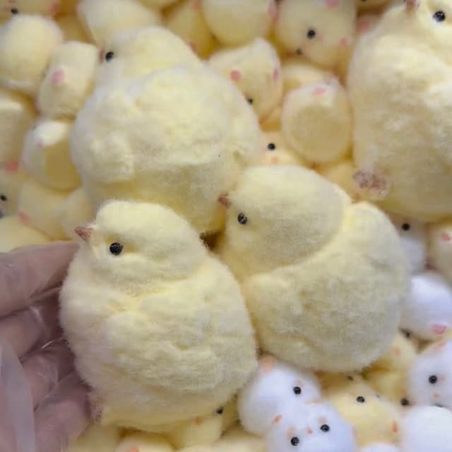 Silicone Chicks Series detail 1