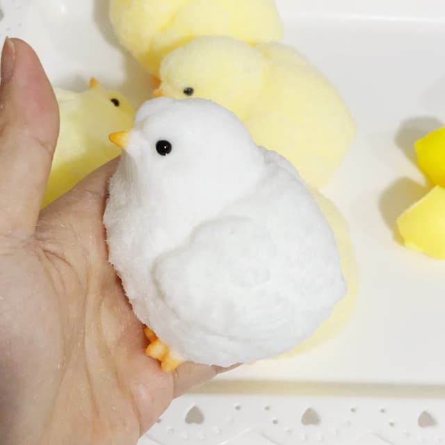 Silicone Chicks Series detail 3