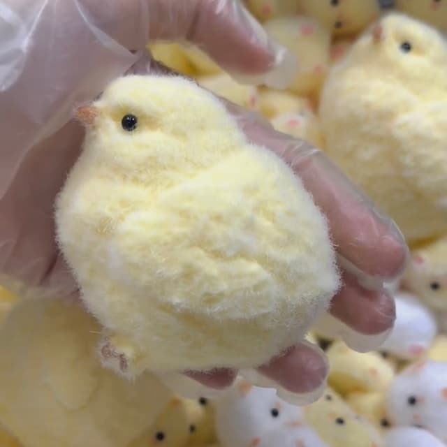 Silicone Chicks Series detail 4