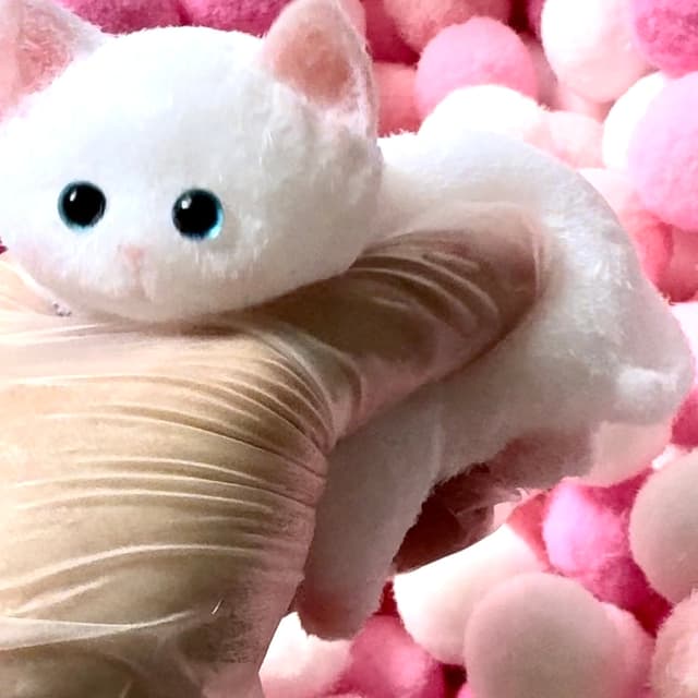 Cute Cat Series detail 5