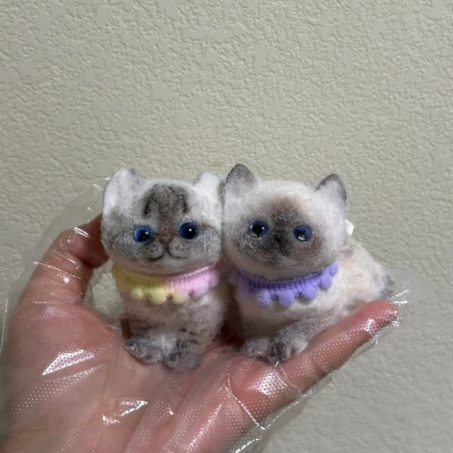 Siamese Cat Series detail 1