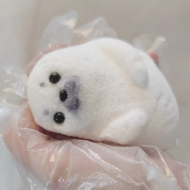 Baby Seal Series detail 5