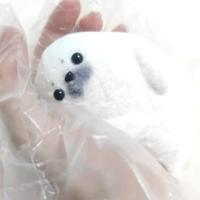 Baby Seal Series detail 6