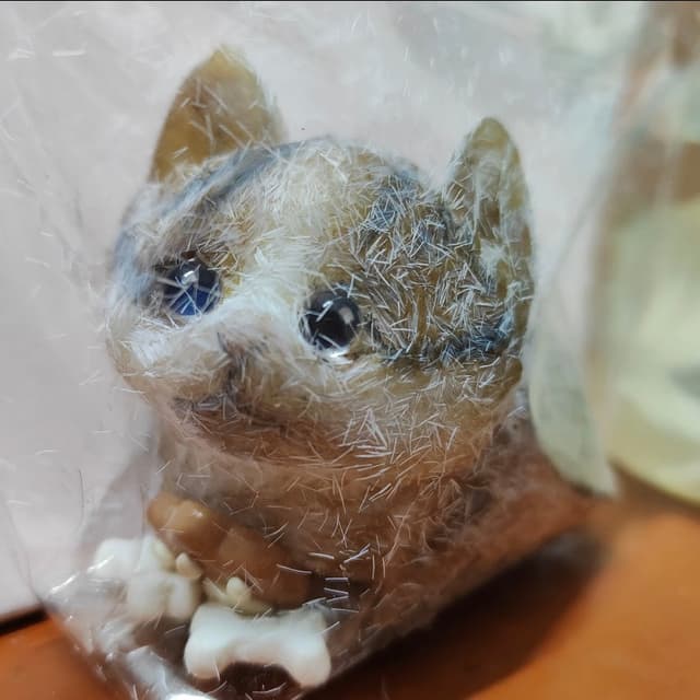 Mini Cat Series detail 4