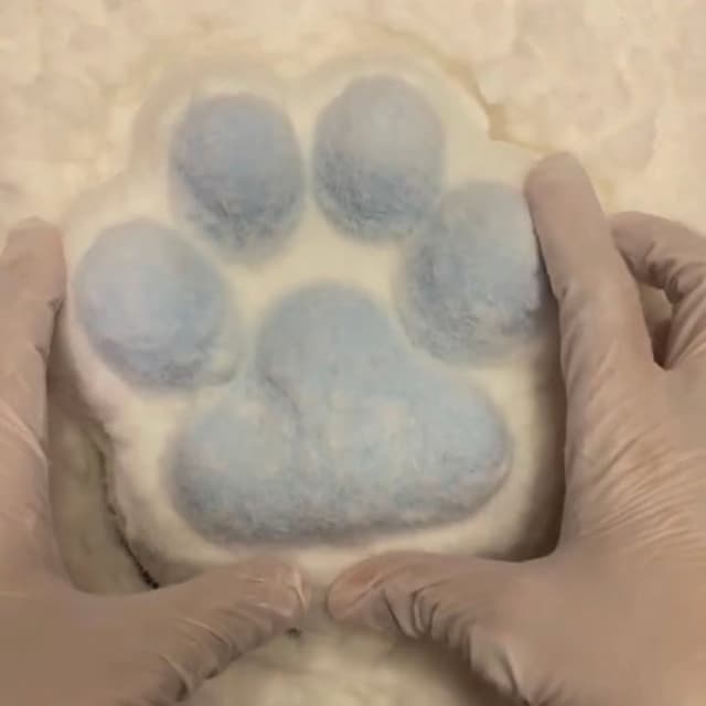 Large Cat Paw Series — Variant 5