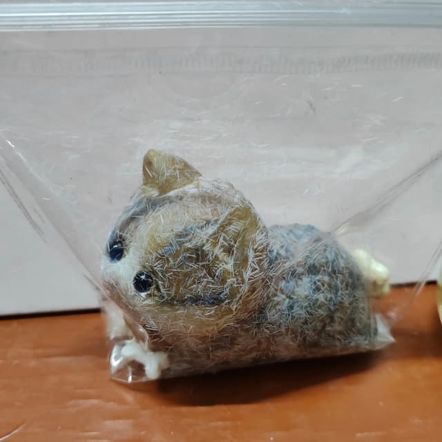 Mini Cat Series — Grey